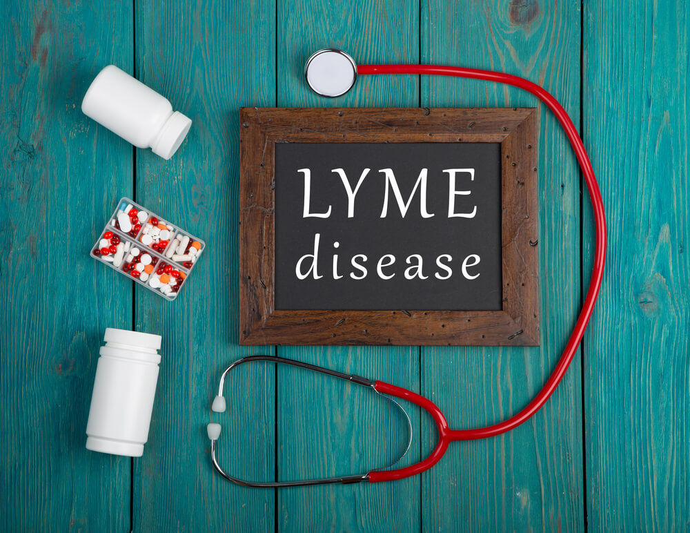 Electromagnetic treatment for Lyme disease can be a great addition to antibiotics and other medications